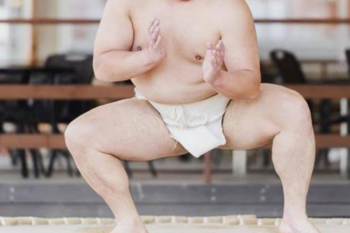 相撲のフリー写真